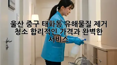 울산 중구 태화동 유해물질 제거 청소: 합리적인 가격과 완벽한 서비스