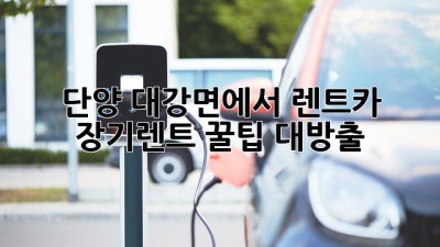 단양 대강면에서 렌트카 장기렌트, 꿀팁 대방출!